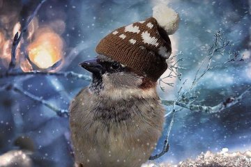 Погода на 6 декабря 2019 года