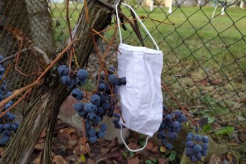 Кабмин введет локдаун. Фото: скриншот Youtube