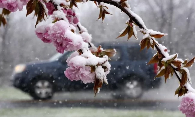 Погода, весна, похолодання. Фото: Telegram