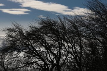 Погода на 26 ноября 2019 года