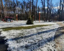 Приморозит и завеет снегом: синоптик предупредил о погоде в ноябре