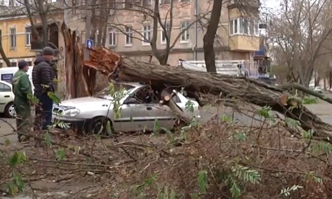 Последствия непогоды. Фото: скриншот YouTube-видео