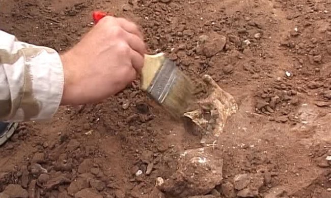 В Черниговской области археологи нашли уникальный артефакт: наши предки использовали для охоты