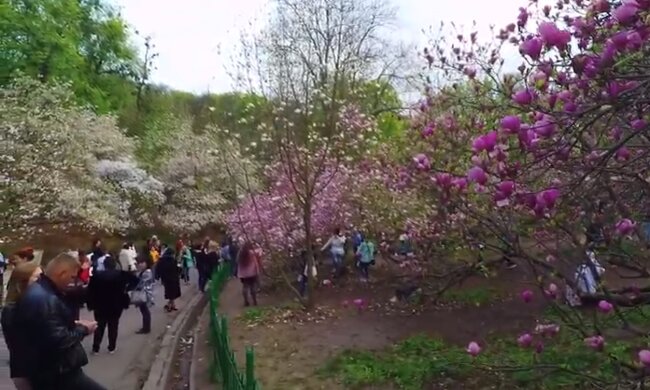 Парк в Києві. Фото: скріншот YouTube-відео