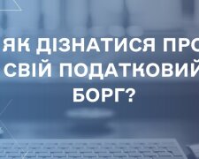 Ця біда чатує на кожного: податкова пояснила, як не втратити гроші і майно — перевір за 2 хвилини