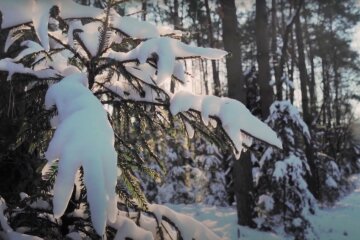 Зима. Фото: YouTube, скрін