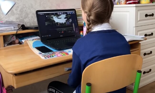 Дистанционное обучение. Фото: YouTube, скрин