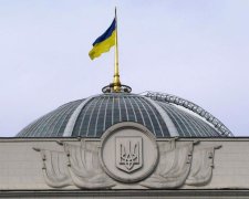 «Несчастный человек, носить столько жира»: Украинцы жестко высмеяли нардепа