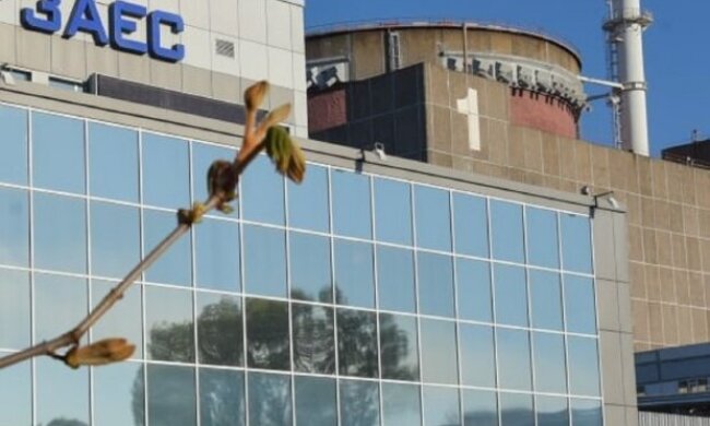 "Настільки тупі...": нардеп показав, що не так із закупівлями 280 тисяч рукавичок на окуповану ЗАЕС