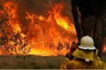 Пожар в Австралии, фото: ru.euronews.com