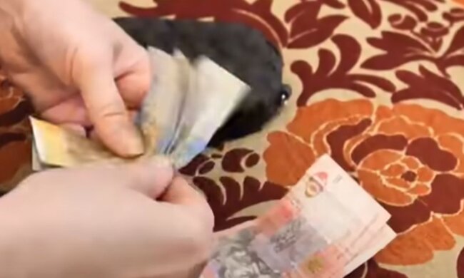 Гроші. Фото: скріншот YouTube-відео