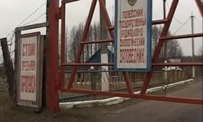 Чорнобильський заповідник. Фото: скріншот YouTube-відео