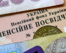Теперь может сделать каждый украинец: пошаговая инструкция, как определить размер будущей пенсии