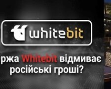 WhiteBIT: як криптобіржа "регіоналів" Шенцевих та Володимира Носова допомагає спецслужбам Росії відмивати гроші та обманює українців