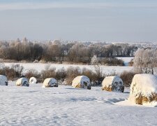 Конфіскація землі у людей: експерти попередили, що чекати від держави