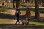 Ученые призвали следить за дистанцией между собаками. Фото: скриншот Youtube-видео