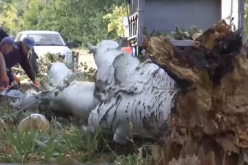 Последствия бури в Украине. Фото: YouTube, скрин