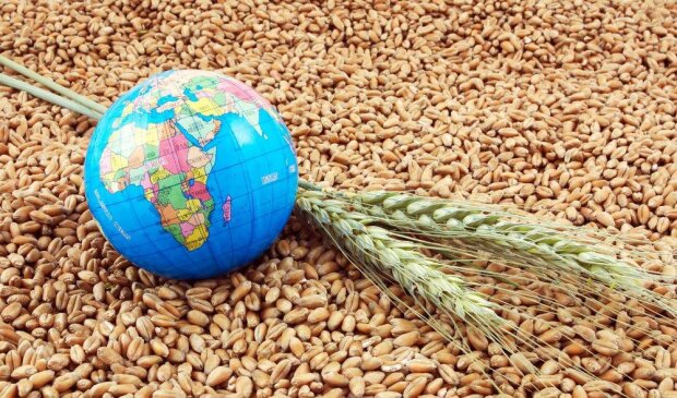 Ініціативу Зеленського «Зерно з України» підтримують вже понад 40 держав світу, — нардеп Пушкаренко