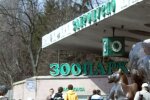 Люди как с цепи сорвались: в Киеве открыли зоопарк – километровые очереди и никакой дистанции. Фото, видео