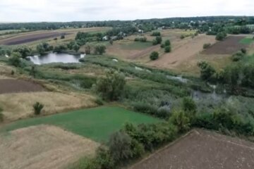 Ринок землі. Фото: скріншот Youtube-відео