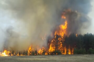 Спасатели предупредили об опасности. Фото: скрин YouTube