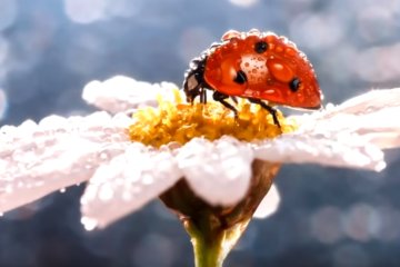 Погода на 20 марта 2020 года