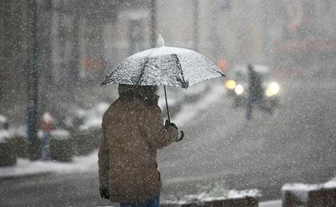 Теплая зима. Фото: pravda.com.ua