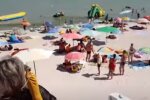 Популярный украинский курорт кишит жалящими монстрами: в воду ни ногой