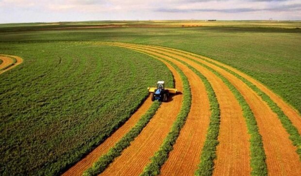 Аграрії, пай, земельна ділянка, броня. Фото: Telegram