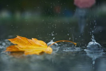 Погода 24 сентября 2019 года