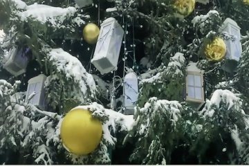 новогодние праздники, фото:YouTube