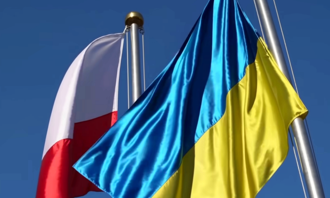 Гетманцев рассказал как Польша нажилась на украинских беженцах. Фото: YouTube