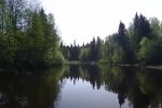 Природа весной. Фото: скриншот YouTube-видео