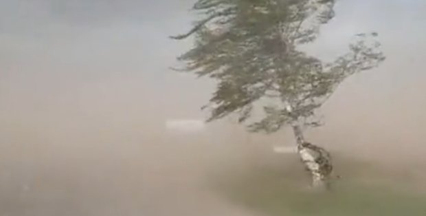 Пылевая буря на Харьковщине. Фото: скриншот YouTube
