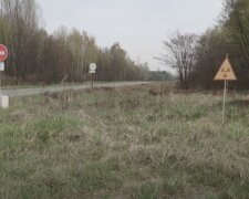 Чорнобильський заповідник. Фото: скріншот YouTube-відео