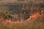 Штраф до 153 тисяч грн або термін від 10 років до довічного: як покарають українців за багаття на своїх ділянках