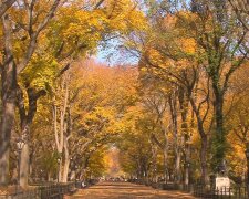 Аномальный ноябрь: синоптик предупредил, как резко изменится погода в Украине