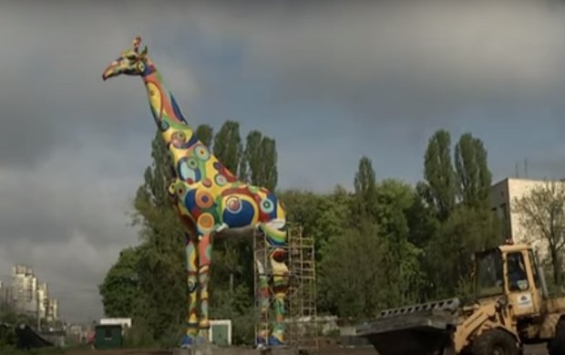 Киевский зоопарк. Фото: скриншот YouTube