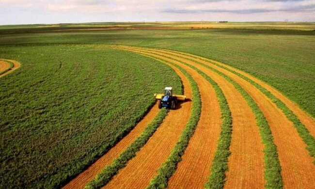 Аграрии, пай, земельный участок, бронь. Фото: Telegram