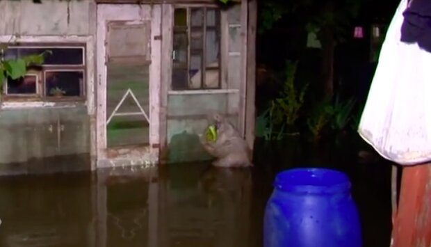 Все ушло под воду: стихия в Одесской области нанесла большой ущерб, видео