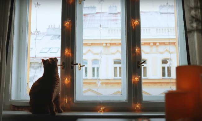 Гирлянда. Фото: YouTube