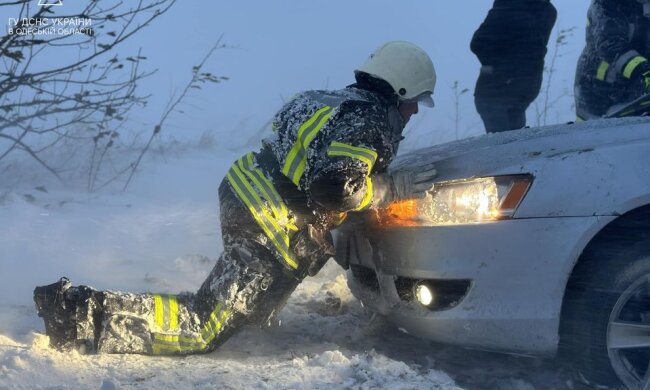 Снігопад. Фото: Стіна