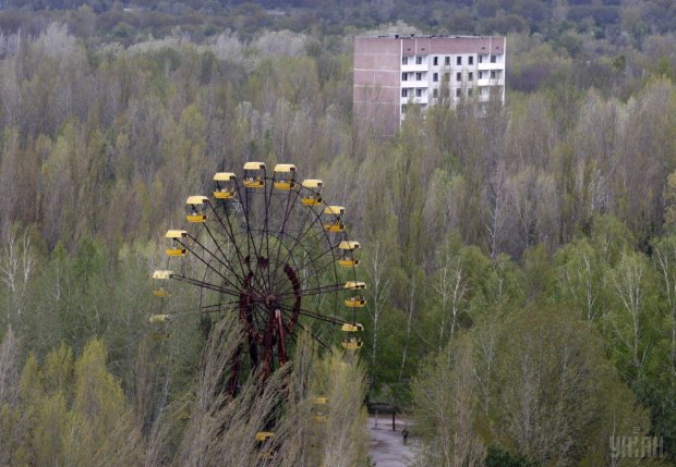 Ученые предупреждают об опасном хищнике в Чернобыле: встреча с туристами неминуема