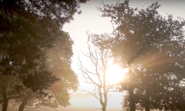 Природа. Фото: YouTube, скрин