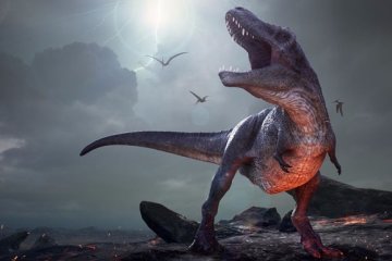 Источник: Корреспондент