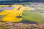 Украинец может получить участок земли. Aото: скриншот YouTube