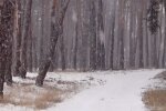 Снежная погода. Фото: скриншот YouTube-видео