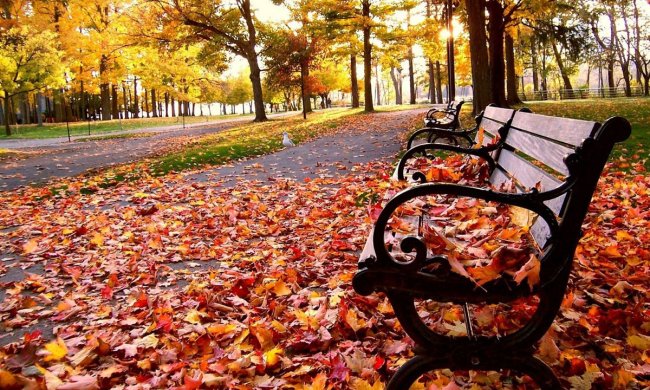 Погода в Украине