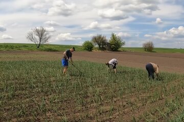 Жители села. Фото: скриншот YouTube-видео