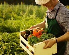 Сільське господарство — гуманітарна допомога WFP